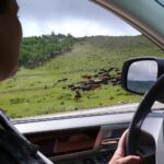 podcast-31-Western-17