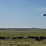 podcast-31-Western-37