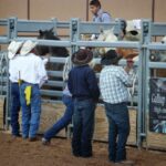 podcast-31-Western-53