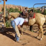 podcast-31-Western-71