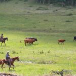 podcast-31-Western-84