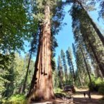 podcast-32-Yosemite-25