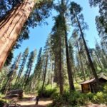 podcast-32-Yosemite-26