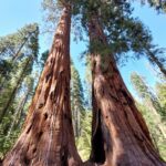 podcast-32-Yosemite-27