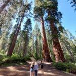 podcast-32-Yosemite-29