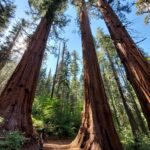 podcast-32-Yosemite-30