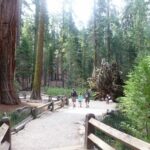 podcast-32-Yosemite-66