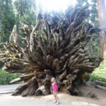 podcast-32-Yosemite-67