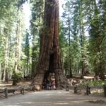 podcast-32-Yosemite-69