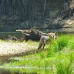 podcast-32-Yosemite-74