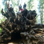 podcast-32-Yosemite-77