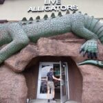 destination-appalaches-04