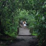 destination-appalaches-09