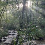 destination-appalaches-10