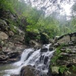 destination-appalaches-105