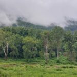 destination-appalaches-109