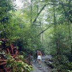 destination-appalaches-12