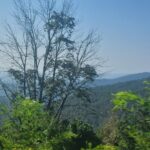 destination-appalaches-124