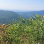 destination-appalaches-125