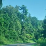 destination-appalaches-126