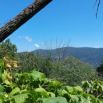 destination-appalaches-136