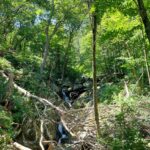 destination-appalaches-139