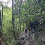 destination-appalaches-14