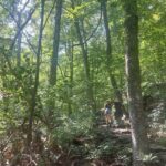 destination-appalaches-145