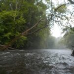 destination-appalaches-158