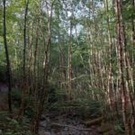 destination-appalaches-16