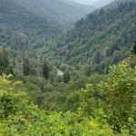 destination-appalaches-25