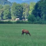 destination-appalaches-49