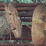 destination-appalaches-59