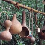 destination-appalaches-60