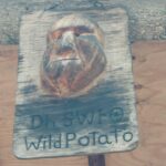 destination-appalaches-74