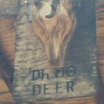 destination-appalaches-75