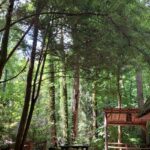 destination-appalaches-77