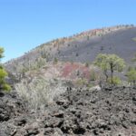 destination-arizona-01