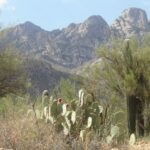 destination-arizona-11