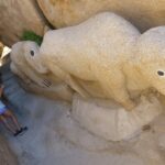 destination-arizona-23