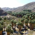 destination-californie-07