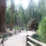 destination-californie-11