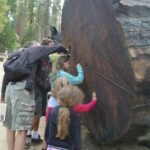 destination-californie-12