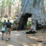 destination-californie-13