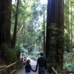 destination-californie-16