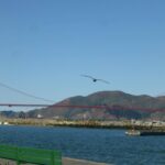 destination-californie-21