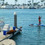 destination-californie-23