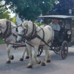 destination-chicago-detroit-03