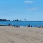 destination-chicago-detroit-103