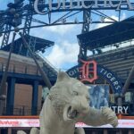 destination-chicago-detroit-36